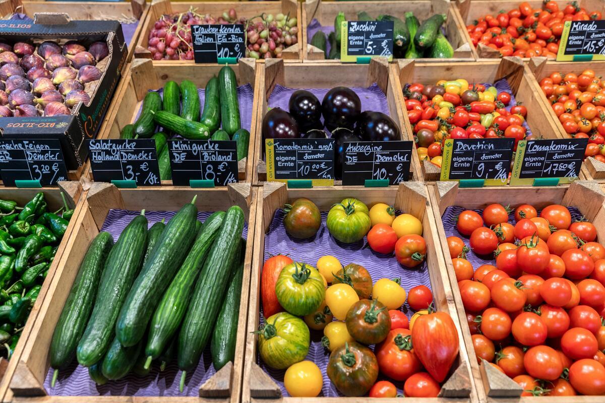 Πόλεμος, αύξηση στις τιμές των τροφίμων και η ανάγκη για στροφή στη βιώσιμη γεωργία