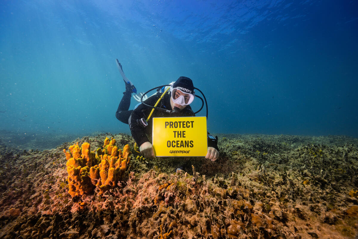 Συνθήκες, αλιεία και λευκά κολάρα: τι γίνεται με την Παγκόσμια Συνθήκη για τους Ωκεανούς;