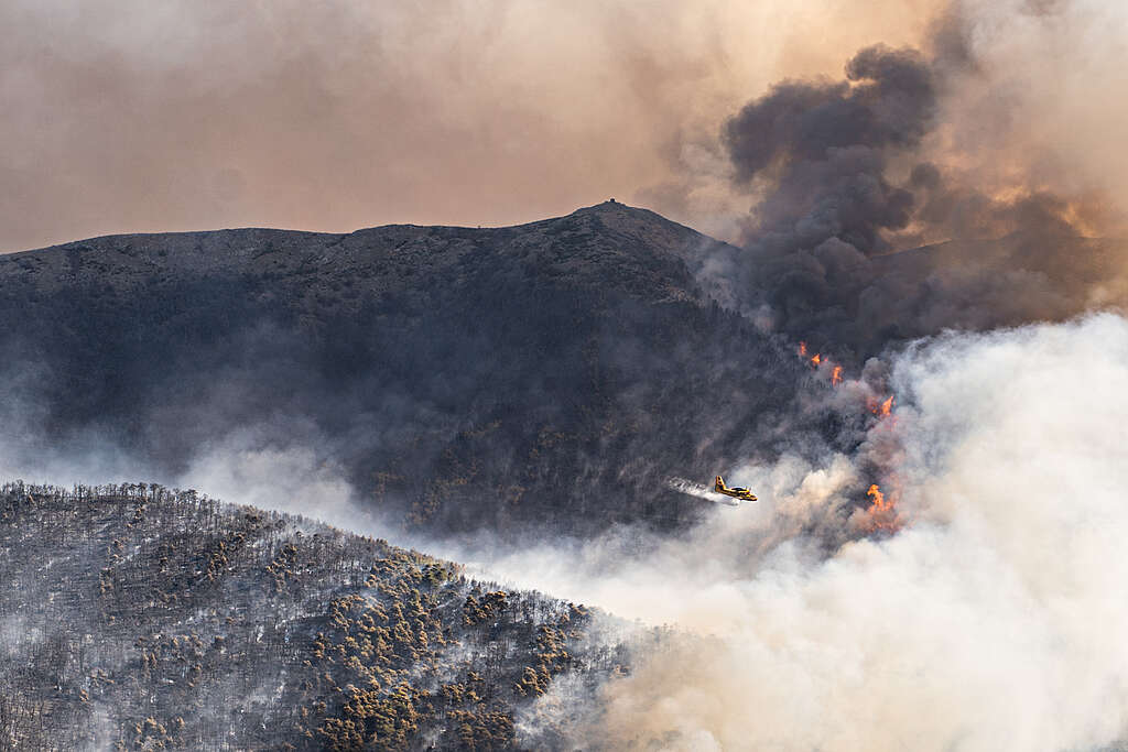Baseley_GreeceFires_Villia-11