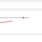 WP-all-import multilingual Posts