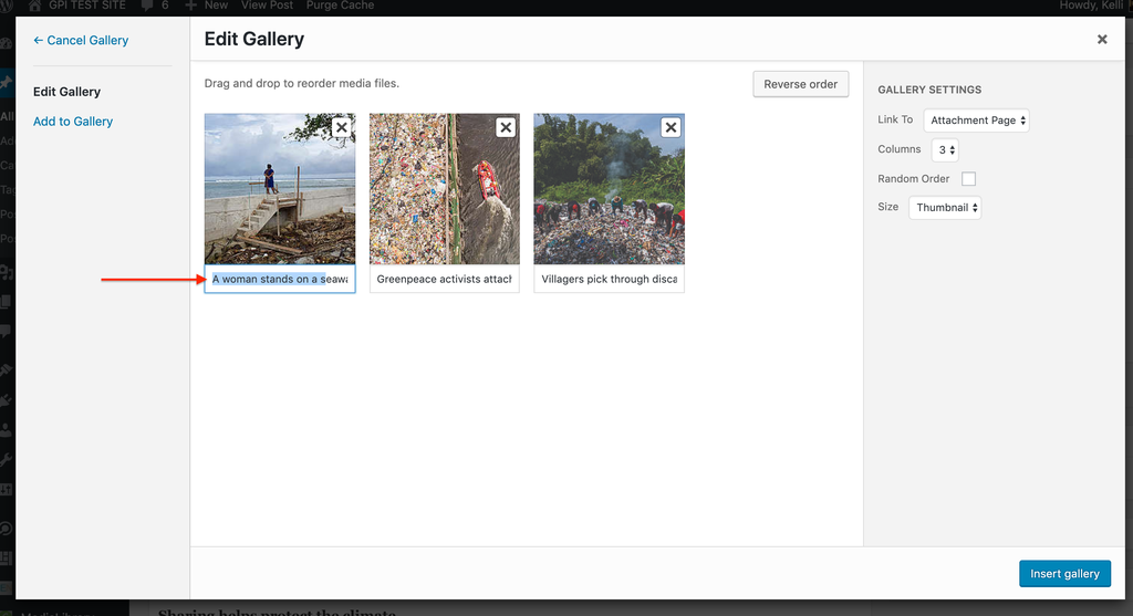 edit-gallery-captions