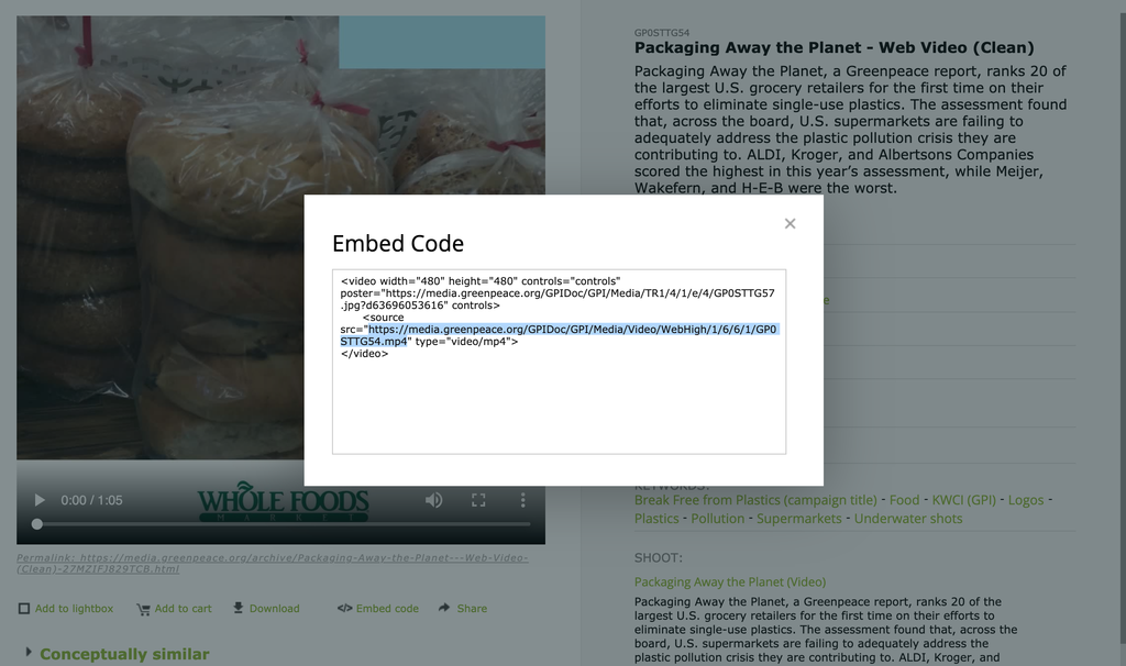 Screenshot 2019-06-14 at 11.49.24