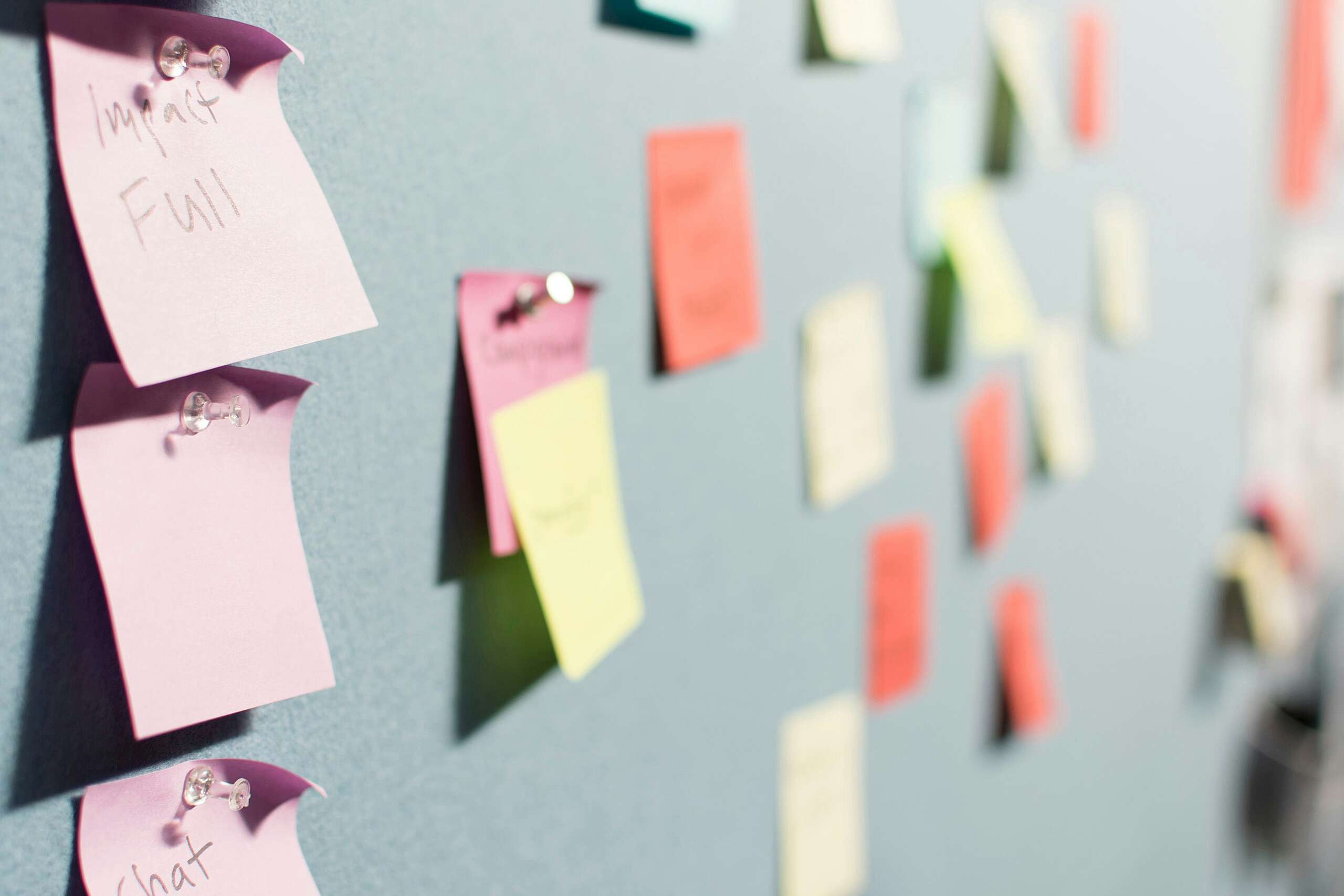 Case Study, Writing Guide