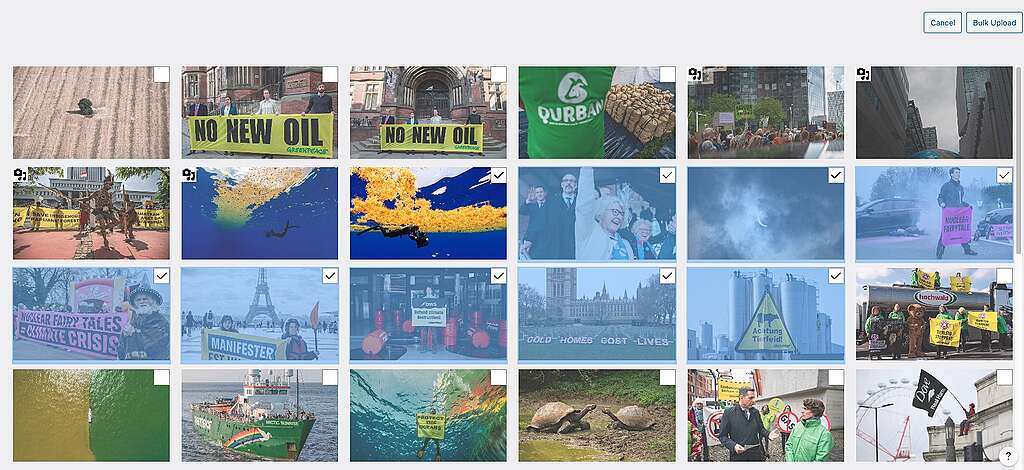 e9048c90-image-07-08-2024-at-13.43 A screenshot of the Greenpeace Media with an image selected, as indicated by the checkmark in the right hand corner, and the following eight images selected as well. This is done by selected one image, holding the shift button and selecting the last image.