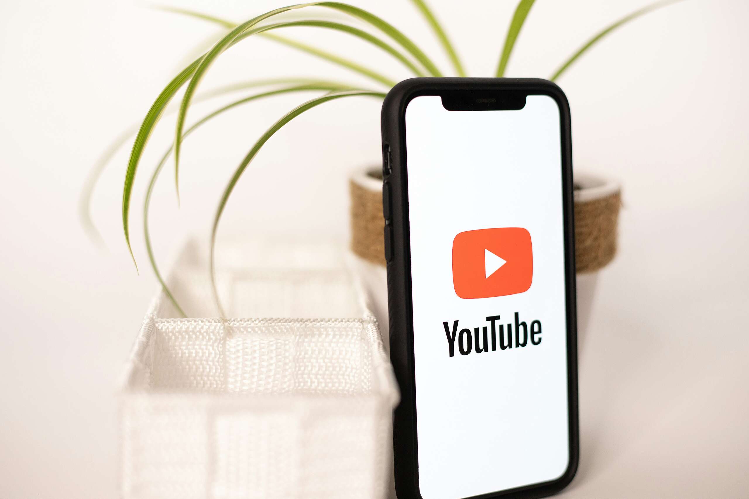 v26.20 | YouTube Videos in the Timeline, Data Attributes for Preferred News Button, Footer Accessibility, Bug Fixes and More!