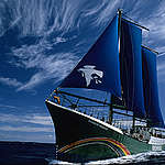 Rainbow Warrior in the Tasman Sea. Full blue sails.  (Greenpeace Witness book page 26)