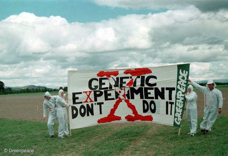 Greenpeace joined with local residents to oppose a GE field trial near Oamaru in December 1996