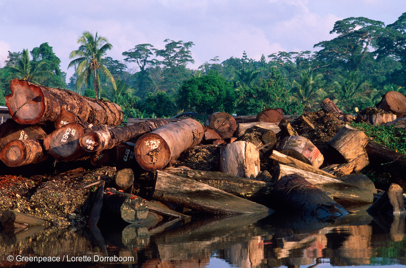 June 1991 - Abandoned logging company - a lot of wood & junk has been left behind. Western Provinces, Solomon Islands.