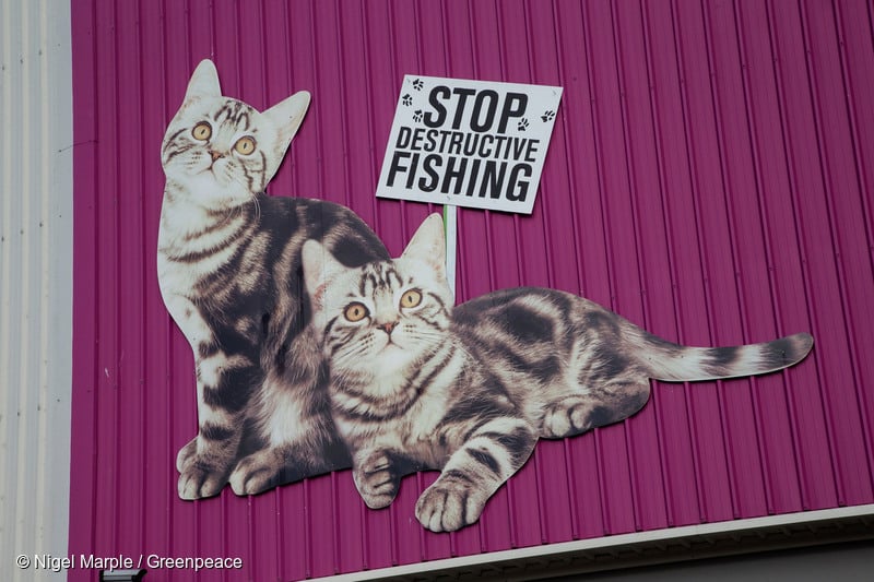 Greenpeace ‘cativists’ shutting down the heart of cat food giant Whiskas’ Australasian operations. Photo by Nigel Marple