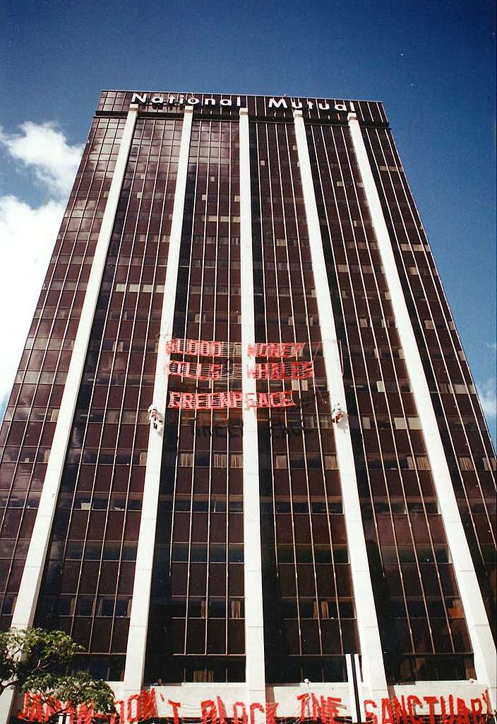 Two teams of Greenpeace climbers hang two giant banners at the Japanese Consulate office in Shortland Street, Auckland, that read, ‘Bloody Money Kills Whales’ and ‘Japan - Don’t Block the Sanctuary’. Photo: Stephen Butler