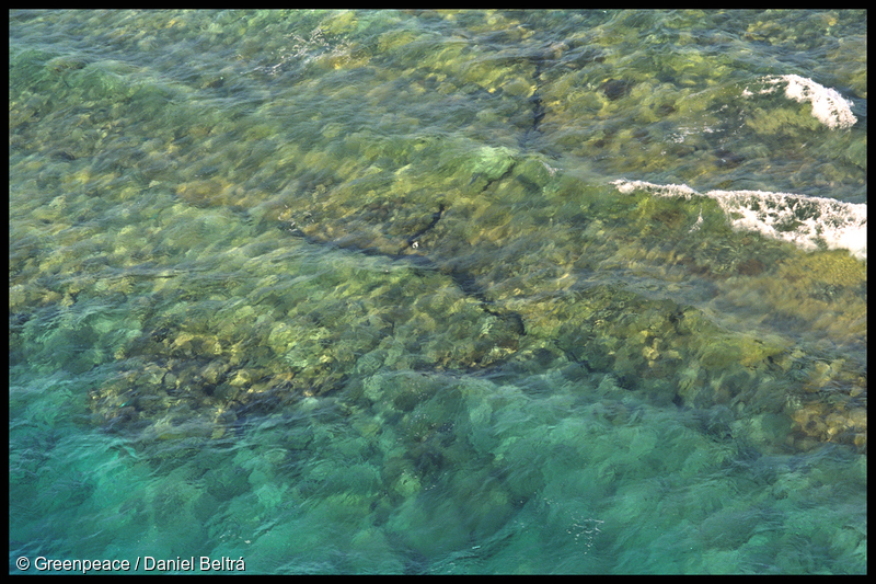 A crack in the coral inside Moruroa lagoon caused by the nuclear weapons tests there