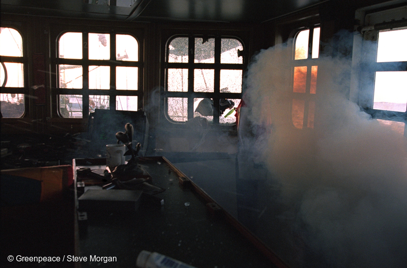 Armed French commandos smashing windows on the bridge and throwing in tear gas grenades during the storming of the Rainbow Warrior