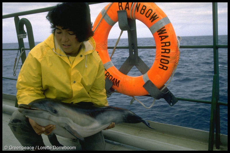 Crew member Naoko Katura on board SV Rainbow Warrior II holding a dead baby dolphin killed by a Japanese driftnet in the Tasman Sea, January 1990.