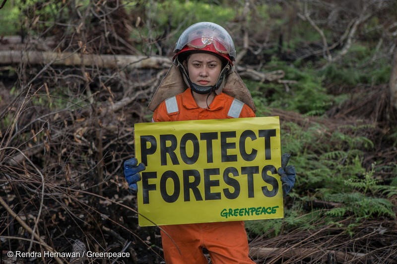 Greenpeace Indonesia Forest Fire Prevention team Jane Yolanda holds a banner reads "Protect Forest" at a fire scar in the peatland, Tanjung Pura village, Ketapang, West Kalimantan.