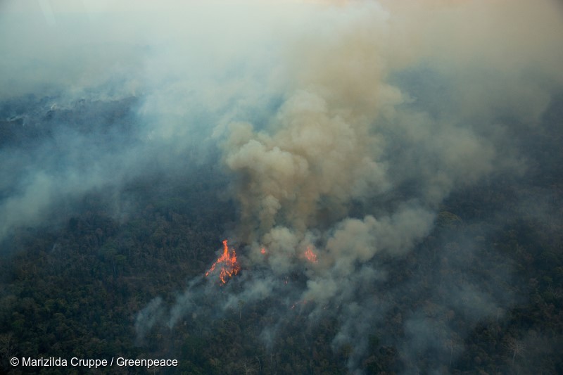 Fotografias aéreas mostram incêndio florestal na Terra Indígena (TI) Arariboia, no Maranhão, onde vivem 12 mil Guajajaras e cerca de 80 indivíduos isolados do povo Awá-Guajá. O incêndio dura dois meses e é o maior já registrado em terras indígenas no Brasil. Cerca de 45% dos 413 mil hectares do território foram destruídos. A falta de uma política eficaz de proteção das terras indígenas permite o roubo de madeira e aumenta o risco de que incêndios como esse possam se repetir em outras terras, já que a degradação causada pela atividade madeireira ilegal torna a floresta vulnerável ao fogo. 24 de outubro de 2015. Foto: Marizilda Cruppe / Greenpeace.Aerial photographs show forest fires in the Indigenous Land (TI) Arariboia, located in Maranhão State, home to 12,000 Guajajaras and about 80 isolated individuals of the Awá-Guajá people. The fire already lasts two months and is the largest ever recorded in Brazilian indigenous lands. About 45% of 413,000 hectares of land have been destroyed. The lack of an effective policy to protect indigenous lands allows illegal logging and increases the risk that fires like this can happen in other lands, since the degradation caused by illegal logging makes the forests vulnerable to fire. October 24th, 2015. Photo: Marizilda Cruppe / Greenpeace.