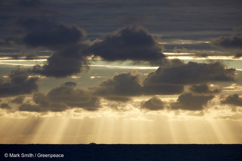 A longline fishing vessel in the South Pacific tuna fishery.The Rainbow Warrior travels into the Pacific to expose out of control tuna fisheries. Tuna fishing has been linked to shark finning, overfishing and human rights abuses.