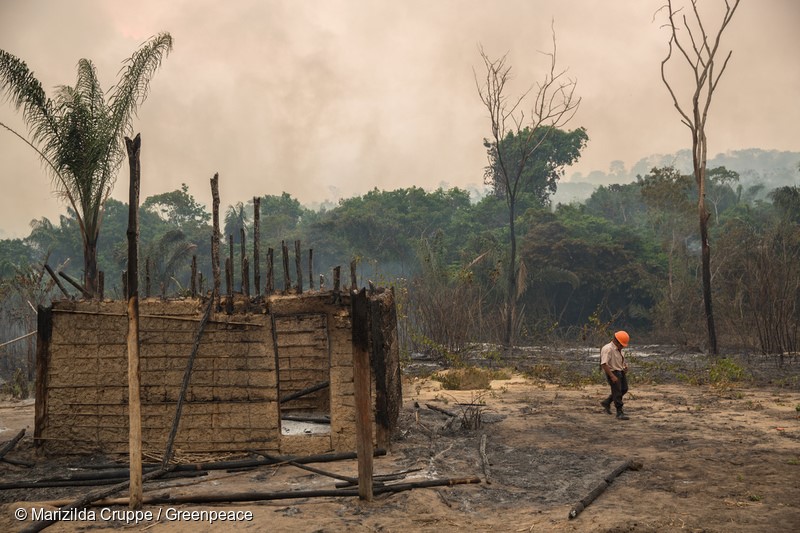 Casa queimada pelo incêndio florestal na Terra Indigena Arariboia, o maior já registrado em terras indígenas no Brasil. Cerca de 45% dos 413 mil hectares do território foram destruídos. A falta de uma política eficaz de proteção das terras indígenas permite o roubo de madeira e aumenta o risco de que incêndios como esses possam se repetir em outras terras, já que a degradação causada pela atividade madeireira ilegal torna a floresta vulnerável ao fogo. 25 de outubro de 2015. Foto: Marizilda Cruppe / Greenpeace.Burned house by forest fire in the Indigenous Land Arariboia. The fire already lasts two months and is the largest ever recorded in indigenous lands in Brazil. About 45% of 413,000 hectares of land have been destroyed. The lack of an effective policy to protect indigenous lands in Brazil allows illegal logging and increases the risk that fires like these can happen in other lands, since the degradation caused by illegal logging makes the forests vulnerable to fire. October 25th, 2015. Photo: Marizilda Cruppe / Greenpeace.