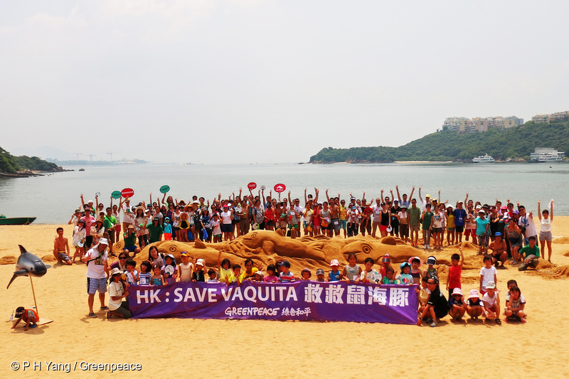 Over 150 people sculpt a giant porpoise (8 m long, 1 m high) with sand on Discovery Bay beach on 'International Save the Vaquita Day' and call on Hong Kong government to take urgent action to help protect the Vaquita by cracking down on the smuggling of the totoaba fish maw (bladder).Greenpeace and Greenfooter (a parent-child group) is campaigning to save theVaquita, which is being driven to extinction as they are being caught ingillnets meant for catching totoaba.Discovery Bay · Hong Kong | 12 Jul 2015