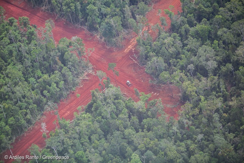 An excavator is seen clearing the primary forests for the development of oil palm plantations in concession held by PT Berkat Citra Abadi, which is part of the Korindo Group, according to several source. Papua is the new frontier for plantations such as palm oil.