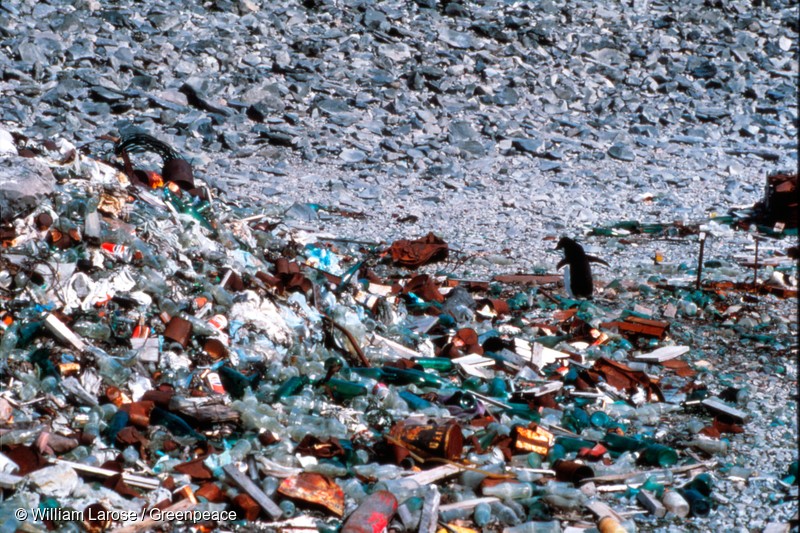 A penguin walks amongst trash and debris near the Argentine Esperanza Station on the Antarctic Peninsula. Antarctica's extremely cold and dry weather causes waste to freeze and remain preserved rather than decay.
