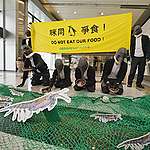 磷蝦捕撈船向南極企鵝、鯨魚發動「糧食戰爭」