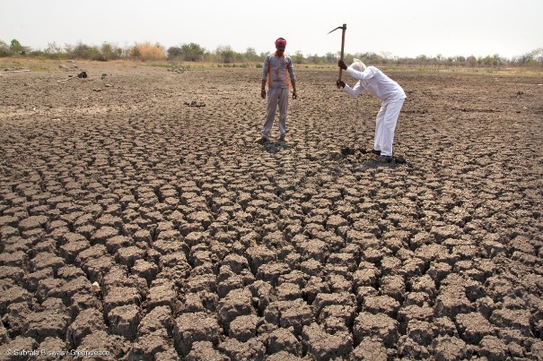 這是印度西部Maharashtra省Komal村的「池塘」，縱然水位時有高低，但一直是村內地下水的主要供應源頭。可是，今年三月，這片池塘卻完全乾涸…… © Subrata Biswas / Greenpeace