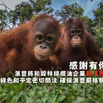 滙豐「不毀林」新政策　邁向可持續棕櫚油融資的第一步