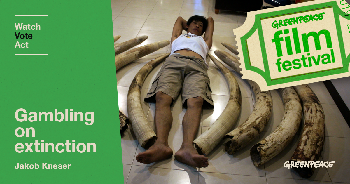 Gambling on Extinction