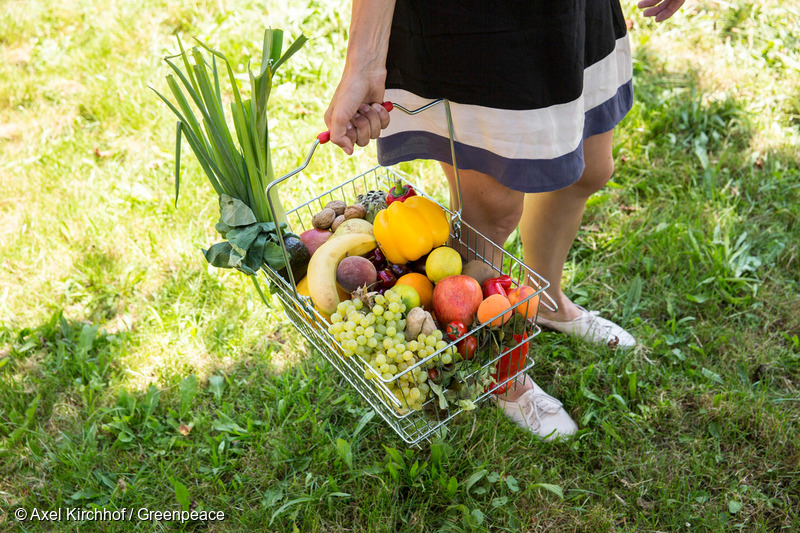 Einkaufskorb mit Obst- und Gemuesesorten, die durch Bestaeubung durch Bienen zur Verfuegung stehen.(c) Axel Kirchhof/Greenpeace22.07.2013