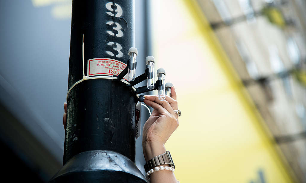 義工於鬧市安裝空氣檢測採集器。© Fung Pik Yee / Greenpeace