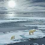 北冰洋沒有冰？ 北極海冰或於10年內完全消失