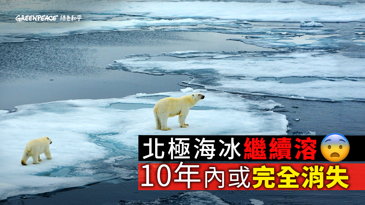 北冰洋沒有冰？ 北極海冰或於10年內完全消失- Greenpeace 綠色和平| 香港