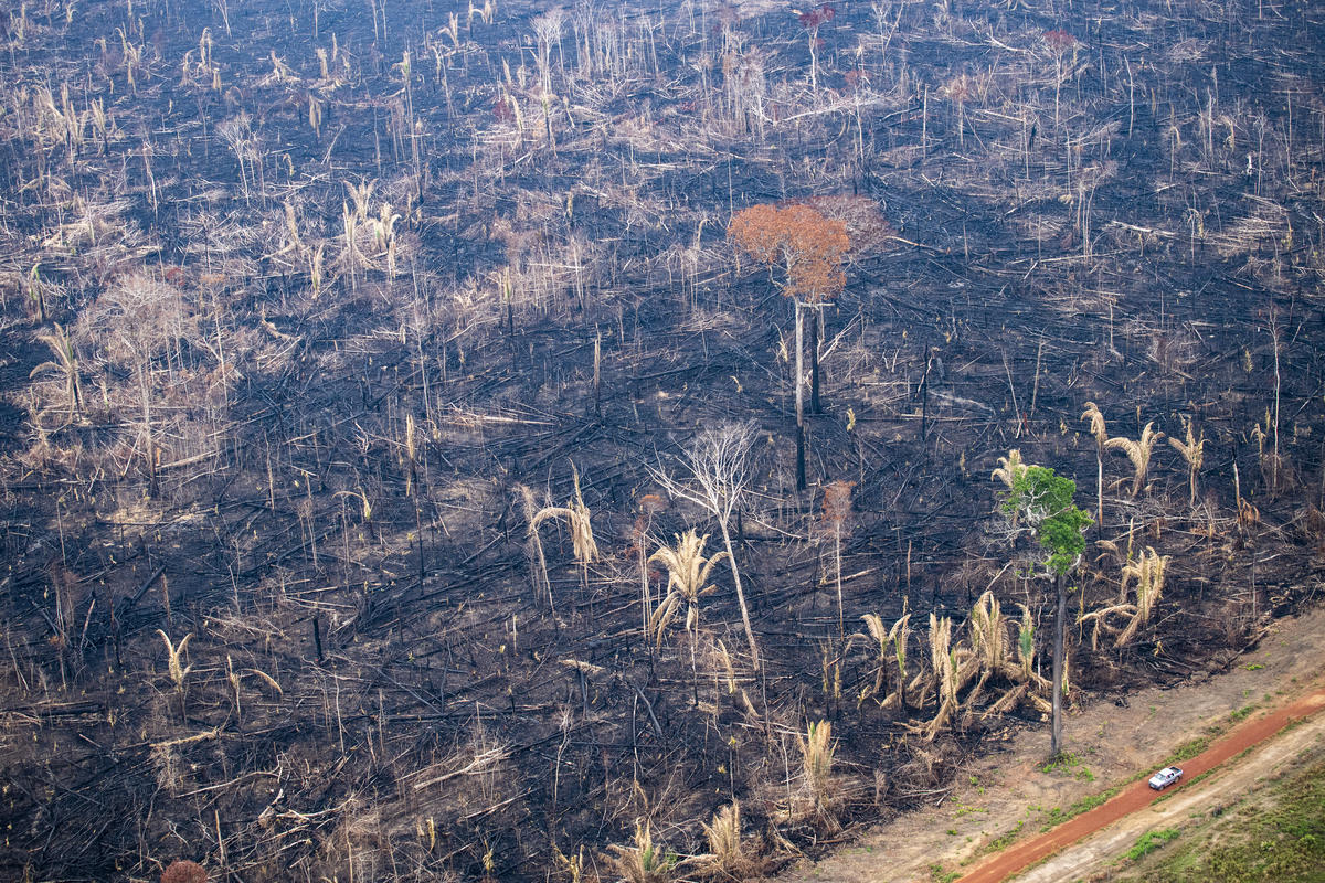 Forest Fires Aftermath in Brazilian Amazon. © Daniel Beltrá / Greenpeace