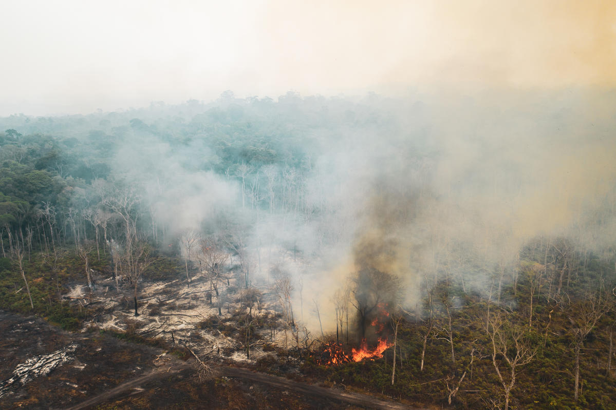 Forest Fires in the Amazon, Rondônia state, Brazil, (2019). © Fernanda Ligabue / Greenpeace