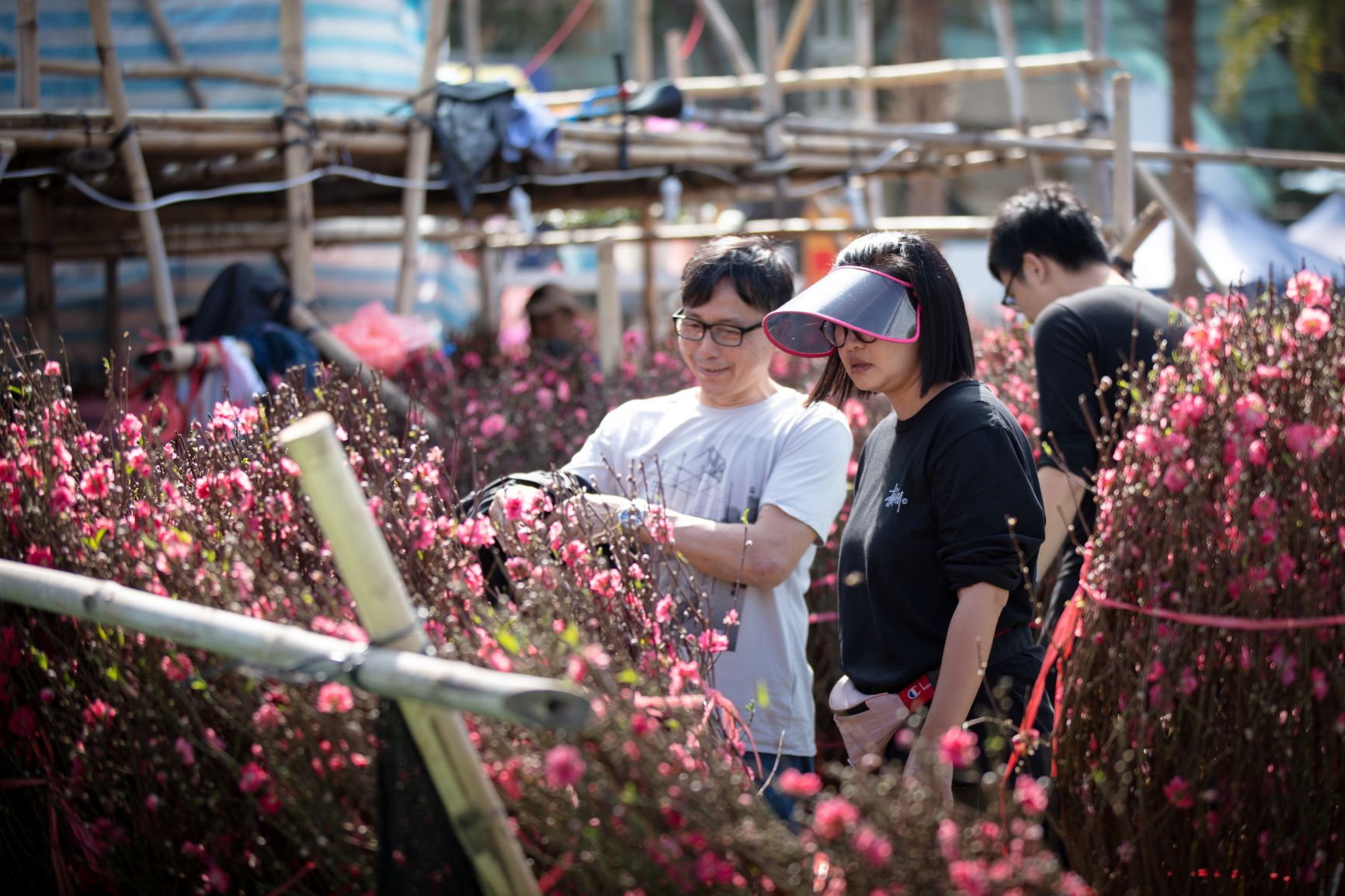 2020年維園年宵花市，天氣如初夏。 © Tse Pak Chai/Greenpeace