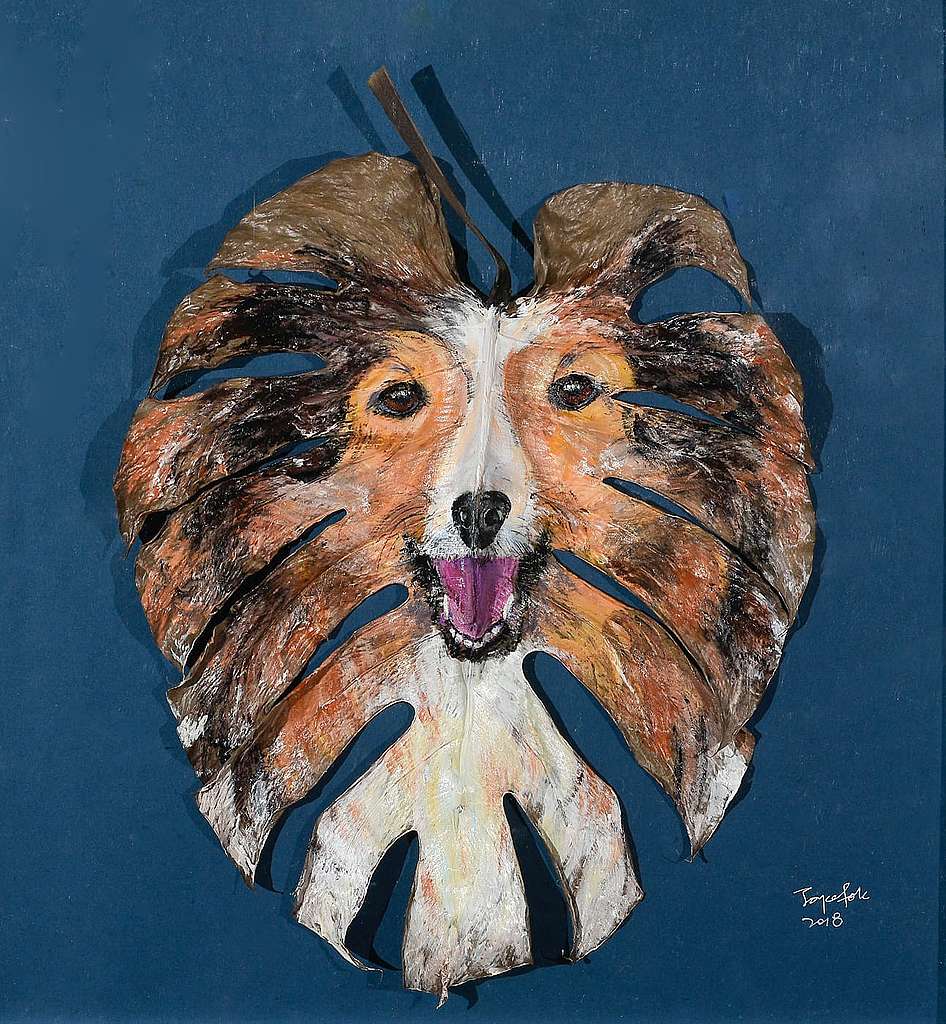 龜背葉化身牧羊犬 ©Joyce Fok