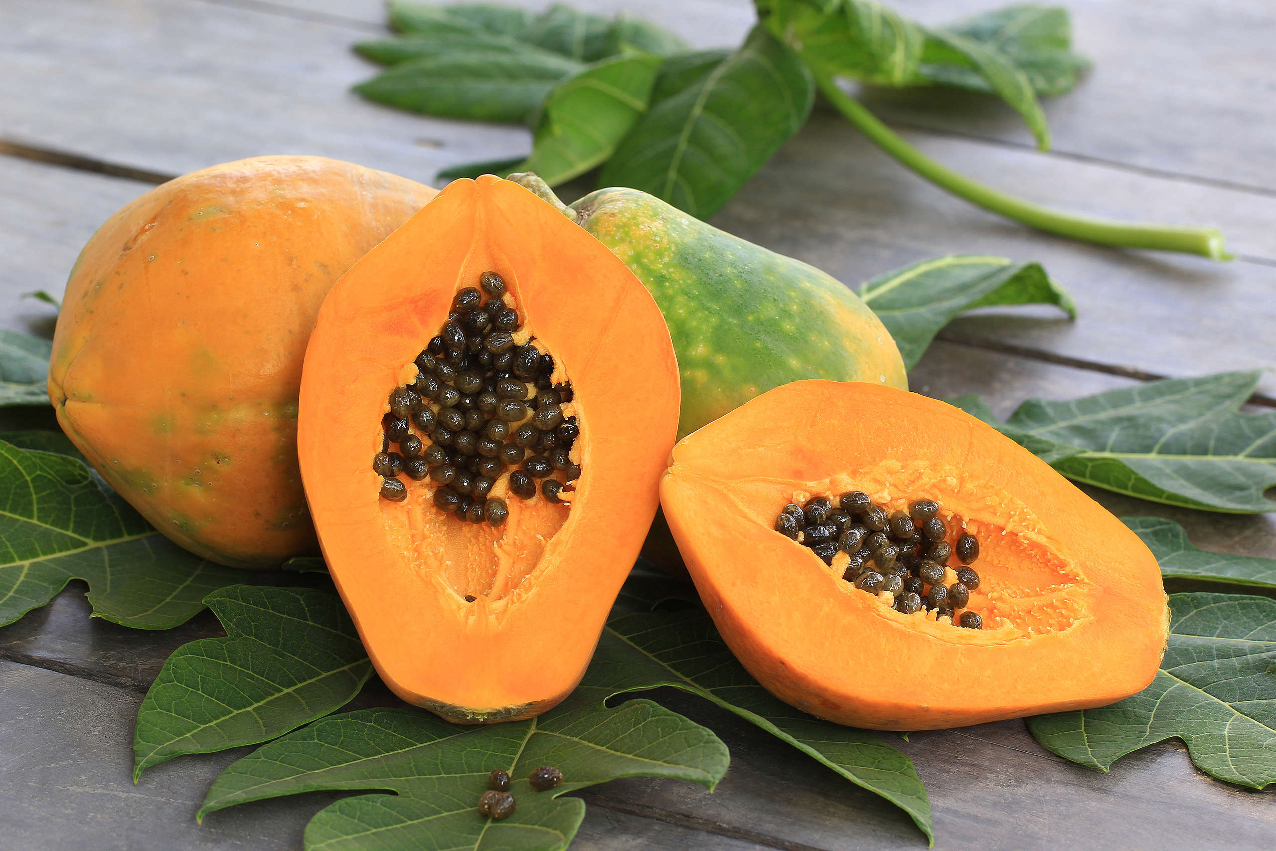 papaya, 木瓜