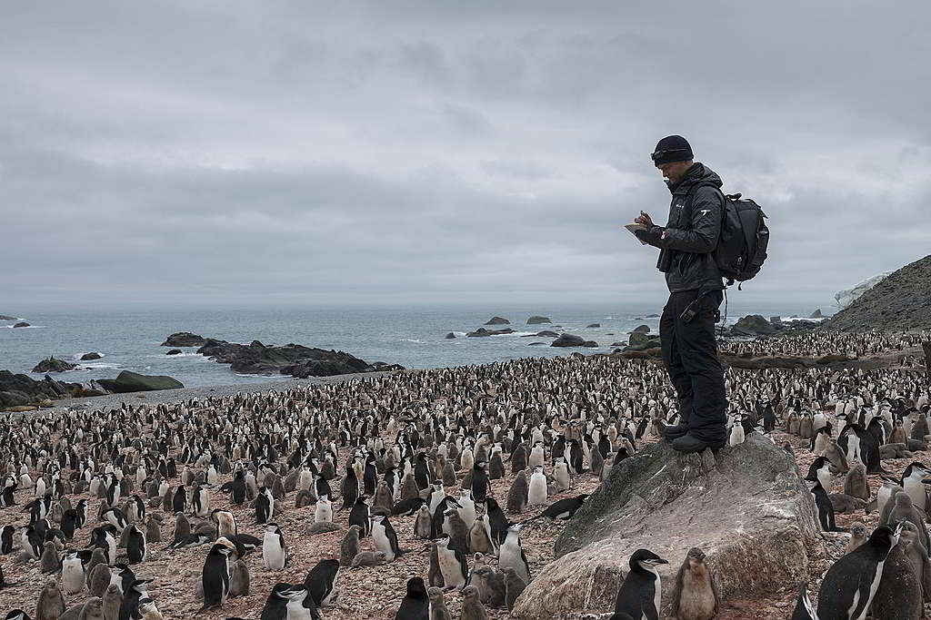 數到三，就放手？參與「企鵝普查」的研究員，通常會站上石頭等高位坐擁廣闊視野，然後逐個企鵝巢穴點算3次，期間僅容許5%誤差以確保準確度。 © Christian Åslund / Greenpeace
