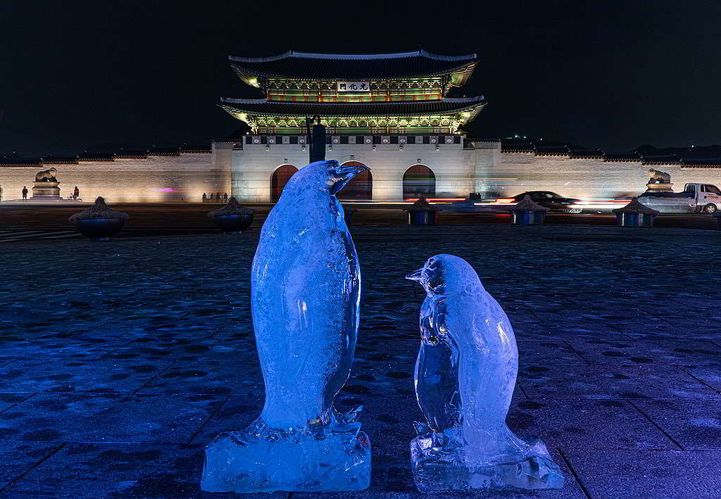 綠色和平韓國辦公室於光化門豎立70隻企鵝冰雕，邀請民眾與南極企鵝並肩同行。 © Greenpeace / Soojung Do