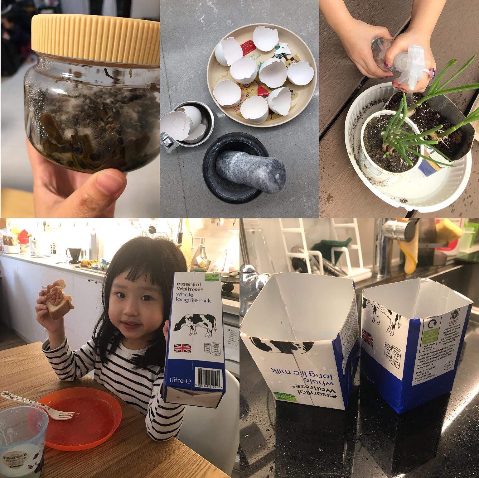 近日的減廢行動,發酵中的茶葉渣、雞蛋殼、乳酪杯和牛奶盒,全都可再用。©Josephine Ng