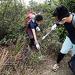 四個山野拾遺貼士 -- 安全最重要