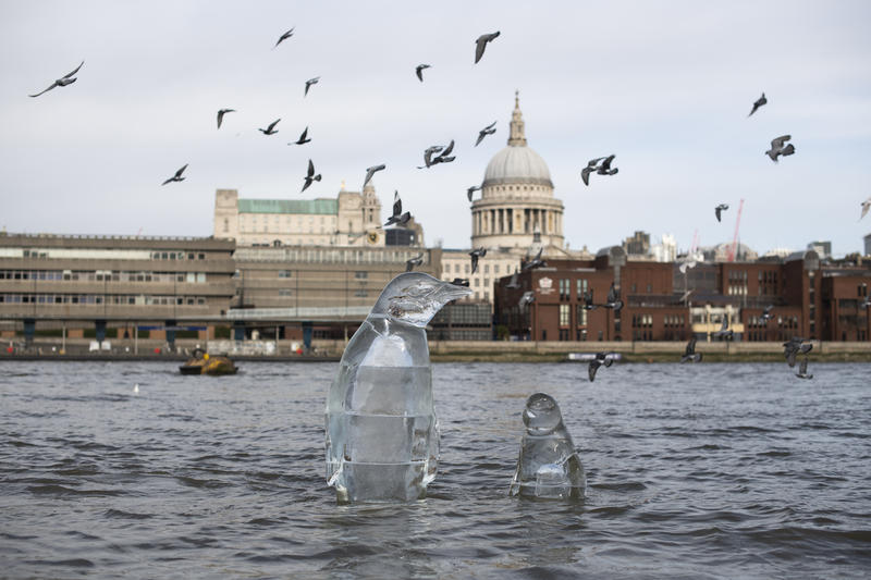「企鵝失了蹤」冰雕行動@英國倫敦 © David Mirzoeff / Greenpeace
