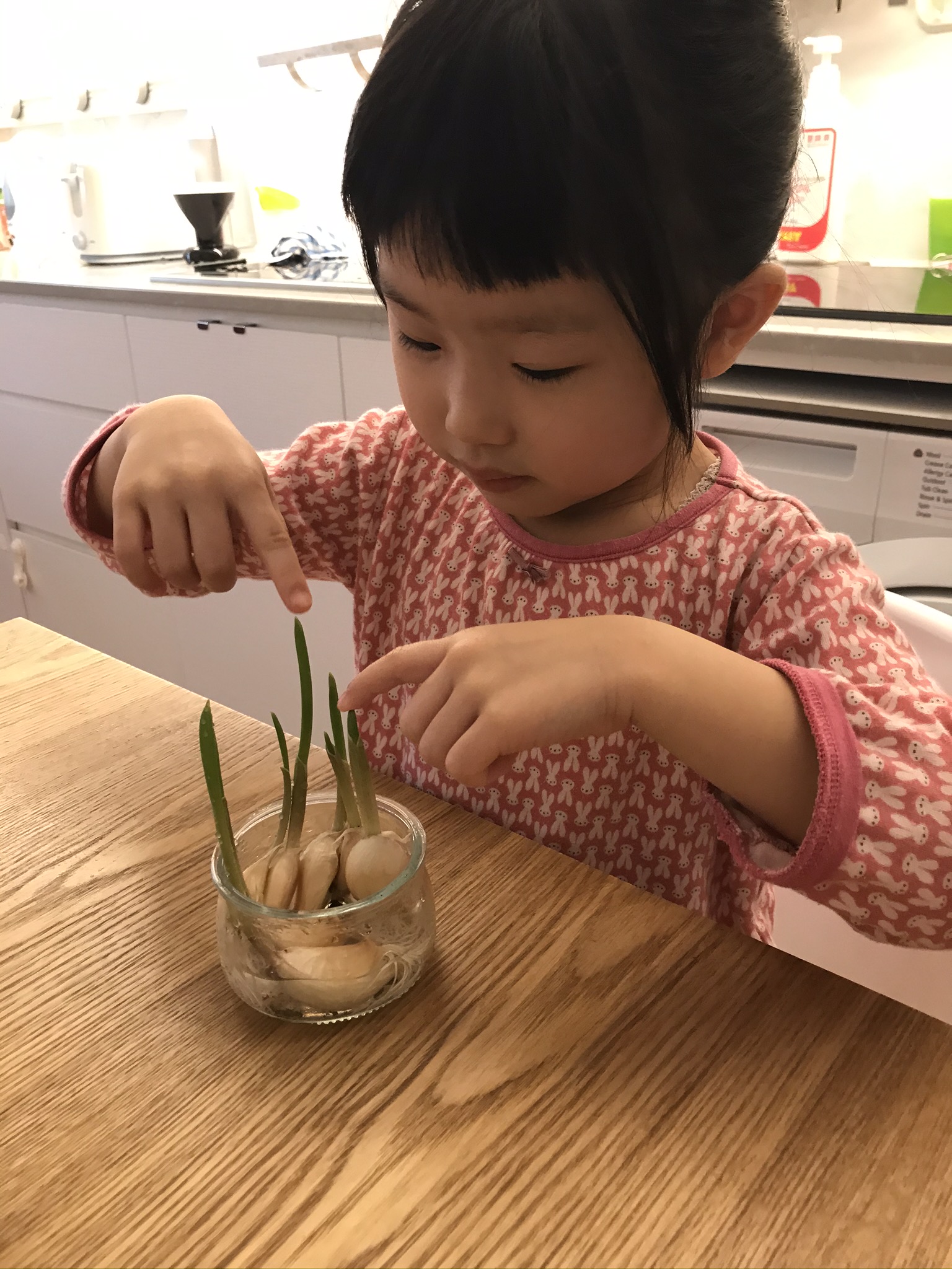 除了蔥之外,蒜頭也可以只用水就能種。©Josephine Ng