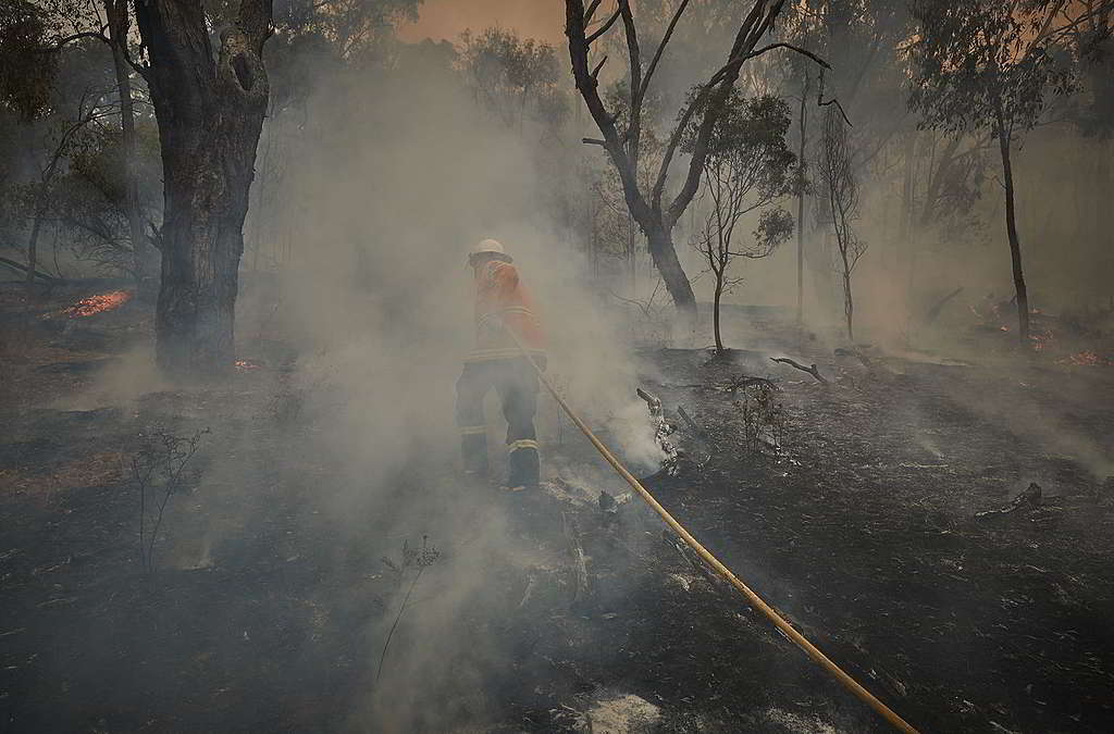 前線消防員奮勇救災，令澳洲山火暫告緩和。 © Kiran Ridley / Greenpeace