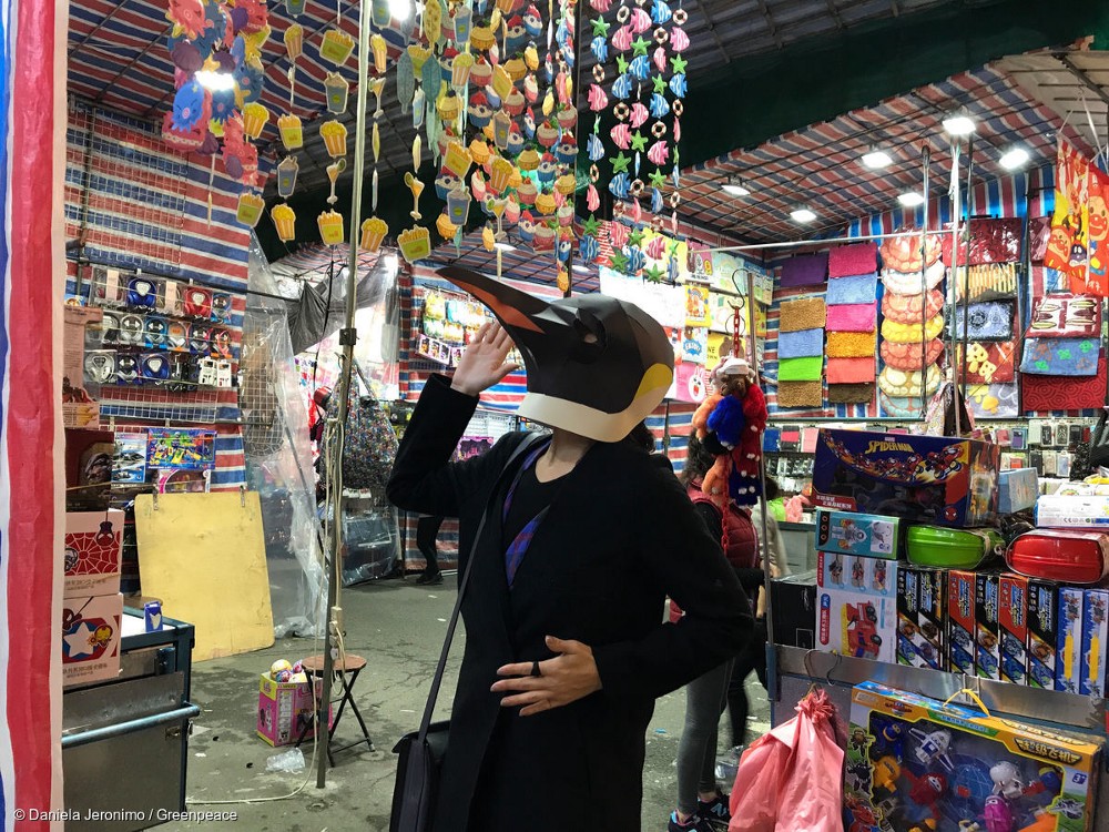 你曾在香港遇上牠嗎?