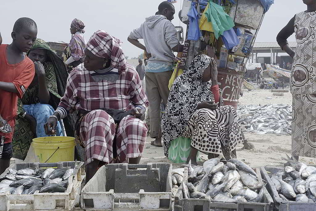 日常很多西非沿海地區女性以賣魚維生。工業式捕魚除了直接影響她們的生計，更導致她們的漁獲更少，造成社區的糧食危機。© Greenpeace / Pape Diatta Sarr