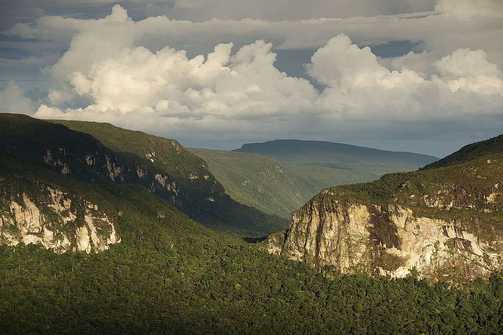 巴西亞馬遜雨林一直扮演調節氣候與生態的重要角色。 © Markus Mauthe / Greenpeace