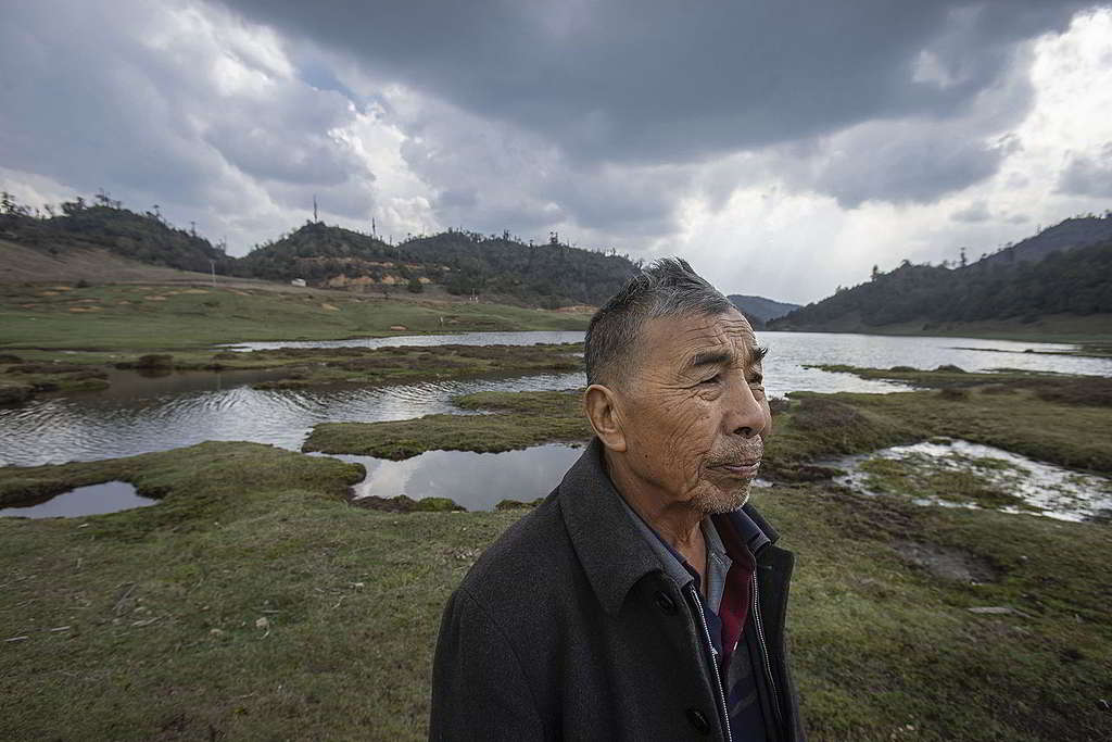 環顧四周青山綠水，楊師強無悔一生獻身護林工作。 © Yan Tu / Wild China / Greenpeace