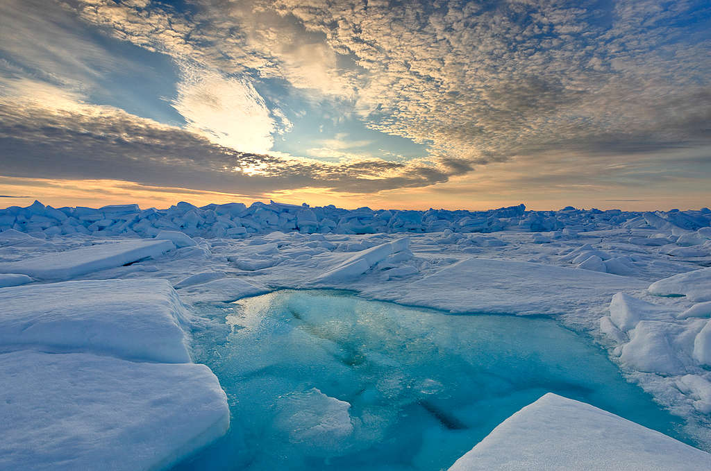 地球北端美國阿拉斯加的初夏© Bernd Roemmelt / Greenpeace