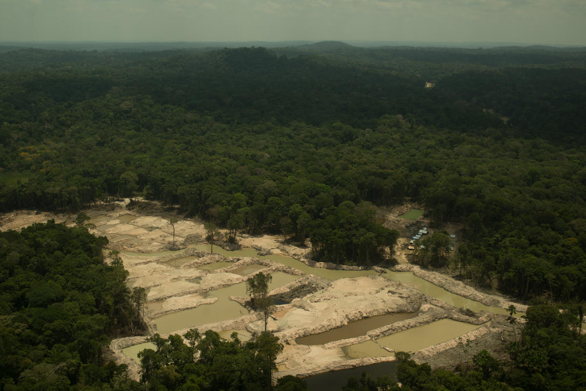 非法採礦吞噬巴西原住民Munduruku族的森林和土地，2019年9月的檔案畫面。© Christian Braga / Greenpeace